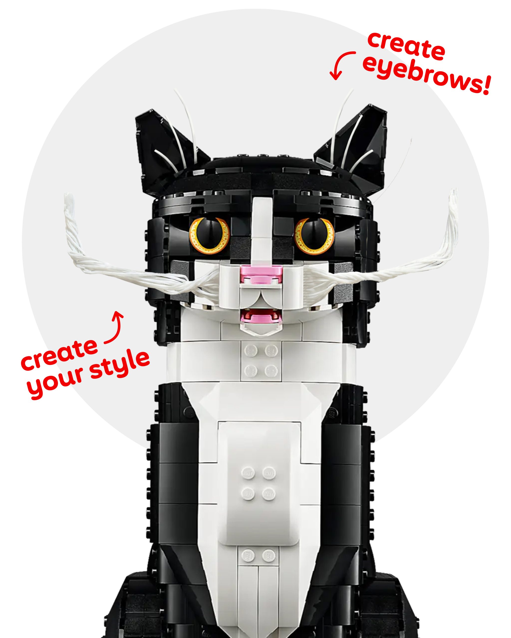 Feed whiskers and shape them