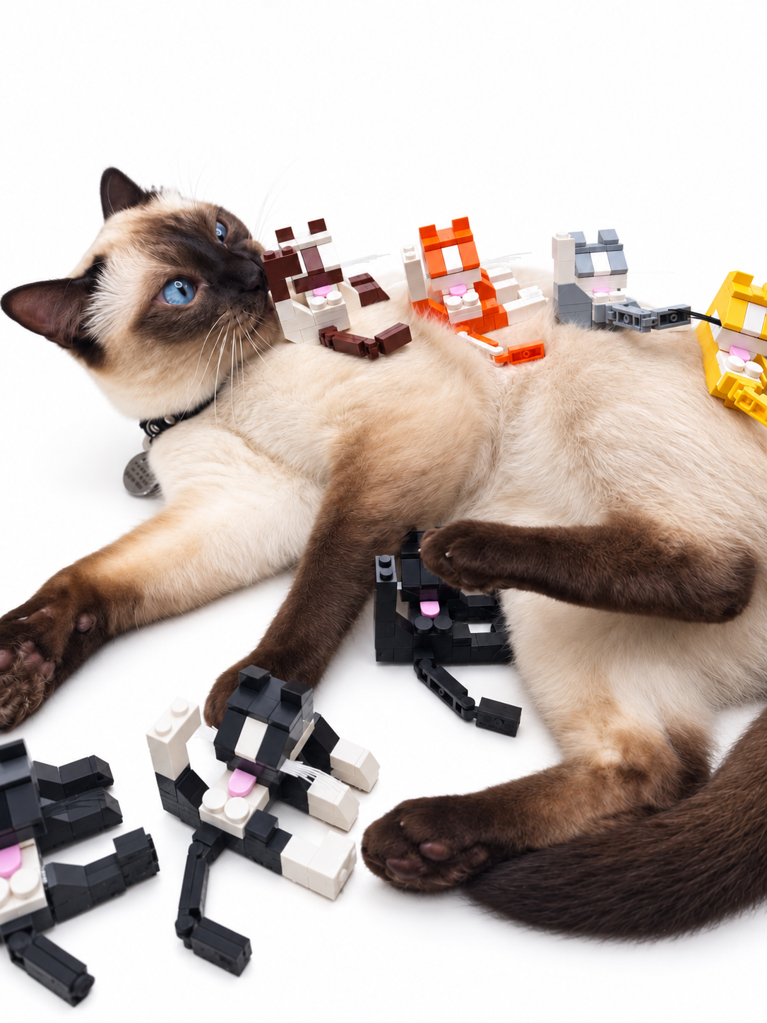 Loki’s Bath Time – Buildable Brick Cat with Loki’s Whiskers Add-On